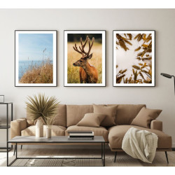 ست سه تایی تابلو code666